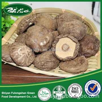 Factory Supply Natural Dried Organic Bulk Dried Shiitake Mushrooms